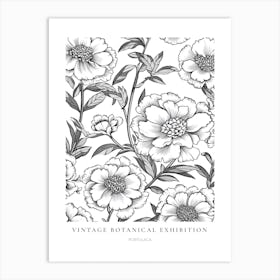 Portulaca B&W Vintage Botanical Poster Art Print