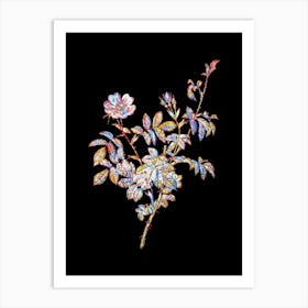 Stained Glass White Downy Rose Mosaic Botanical Illustration on Black n.0334 Art Print