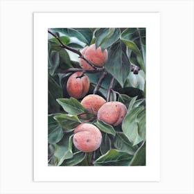 Peach Tree Art Print