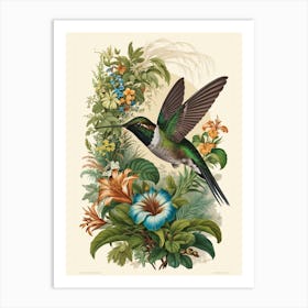 Hummingbird botanical flower beauty Art Print