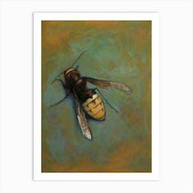 Insect - Hornet Art Print