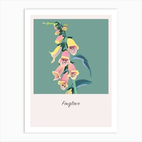 Foxglove Square Flower Illustration Poster Art Print