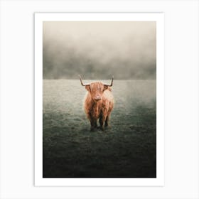 Foggy Highland Cow Art Print