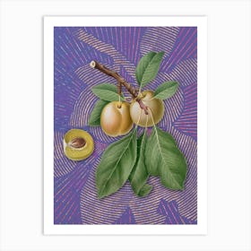 Vintage Prune Botanical Illustration on Veri Peri Art Print