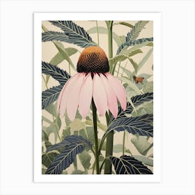 Flower Illustration Coneflower 3 Art Print