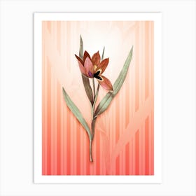 Tulipa Oculus Colis Vintage Botanical in Peach Fuzz Awning Stripes Pattern n.0194 Art Print