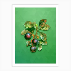 Vintage Cherry Plum Botanical Art on Classic Green n.0392 Art Print