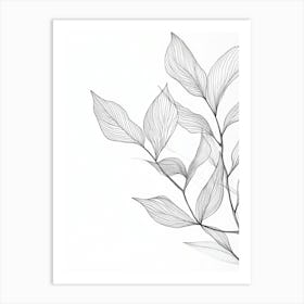 Pencil Drawing Of A Leaf 1 Art Print