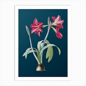 Vintage Brazilian Amaryllis Botanical Art on Teal Blue Art Print