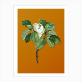 Vintage Magnolia Elegans Botanical on Sunset Orange n.0822 Art Print