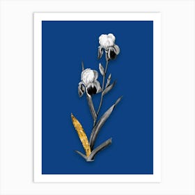 Vintage Elder Scented Iris Black and White Gold Leaf Floral Art on Midnight Blue n.1037 Art Print