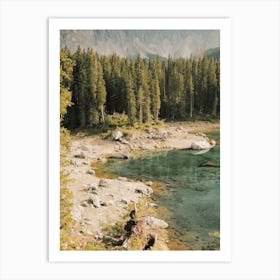 Forest Pond View Art Print