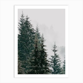 Pine Tree Forest Art Print