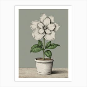 Magnolia 3 Art Print