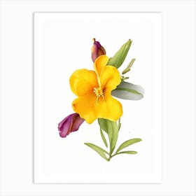 Sticky Monkeyflower Wildflower Watercolour Art Print