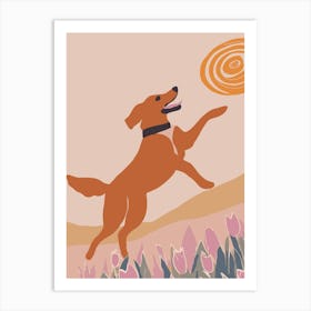 Frisbee Dog Art Print