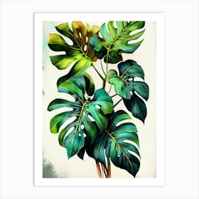 Monstera Plant 1  nature flora Art Print