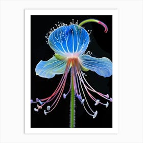 Blue Fuchsia Flower Art Print