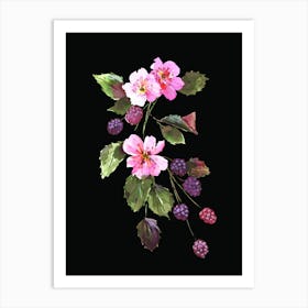 Vintage Blackberry Fruit And Flowers on Black Background Art Print