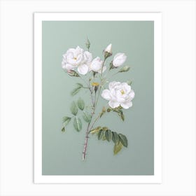 Vintage White Rose Botanical Art on Mint Green n.0248 Art Print