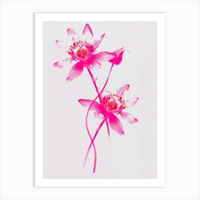 Hot Pink Edelweiss 1 Art Print