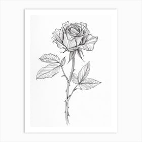 English Rose Black And White Line Drawing 34 Art Print