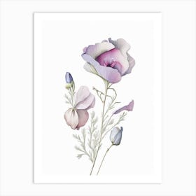 Eustoma Floral Quentin Blake Inspired Illustration 2 Flower Art Print