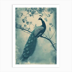Peacock In A Tree Vintage Cyanotype Inspired 2 Art Print