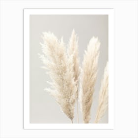 Pampas Grass_2064616 Art Print