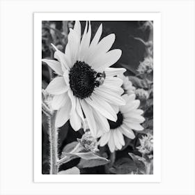 Bee Sunflower 6 Art Print