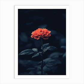 Dark Rose 169 Art Print