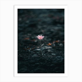 Single Flower In The Dark 109 Art Print