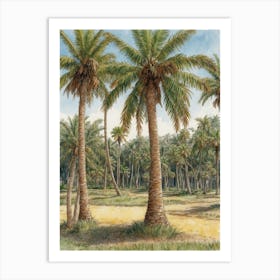 Palm Trees Art Print