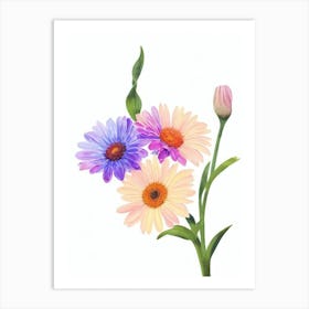 Gerberas Watercolour Flower Art Print