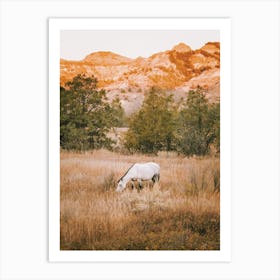 White Horse Grazing Art Print