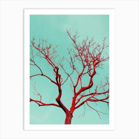 Bare Tree Against Blue Sky Art Print