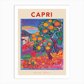 Capri Italia Travel Poster Art Print
