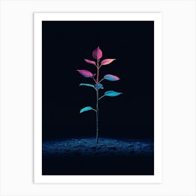 Plant In The Dark 21 Art Print