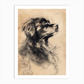 Newfoundland Dog Charcoal Line 2 Art Print