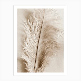 Feather Art Print