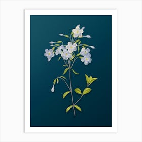 Vintage Phlox Botanical Art on Teal Blue n.0082 Art Print
