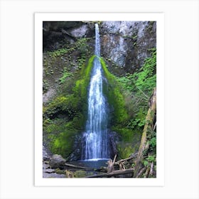 Waterfall in Washington Art Print