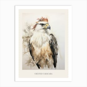 Vintage Bird Drawing Crested Caracara 2 Poster Art Print