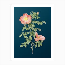 Vintage Red Sweetbriar Rose Botanical Art on Teal Blue n.0557 Art Print