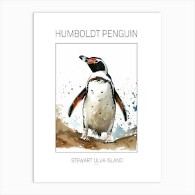 Humboldt Penguin Stewart Island Ulva Island Watercolour Painting 4 Poster Art Print