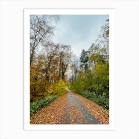 Autumn Road In The Woods Art Print