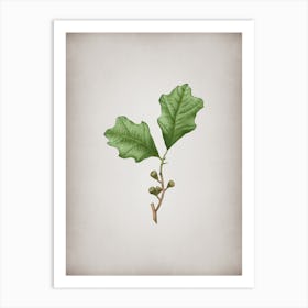 Vintage Bear Oak Leaves Botanical on Parchment n.0027 Art Print