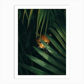 Cat In The Jungle 1 Art Print