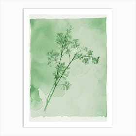 Green Ink Painting Of A Mountain Spleenwort 2 Art Print