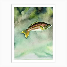 Sea Robin II Storybook Watercolour Art Print